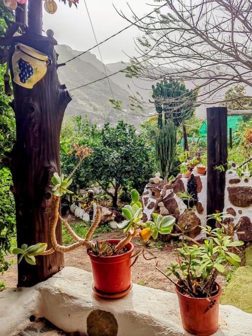 Villa Tamadaba Agaete  Bagian luar foto