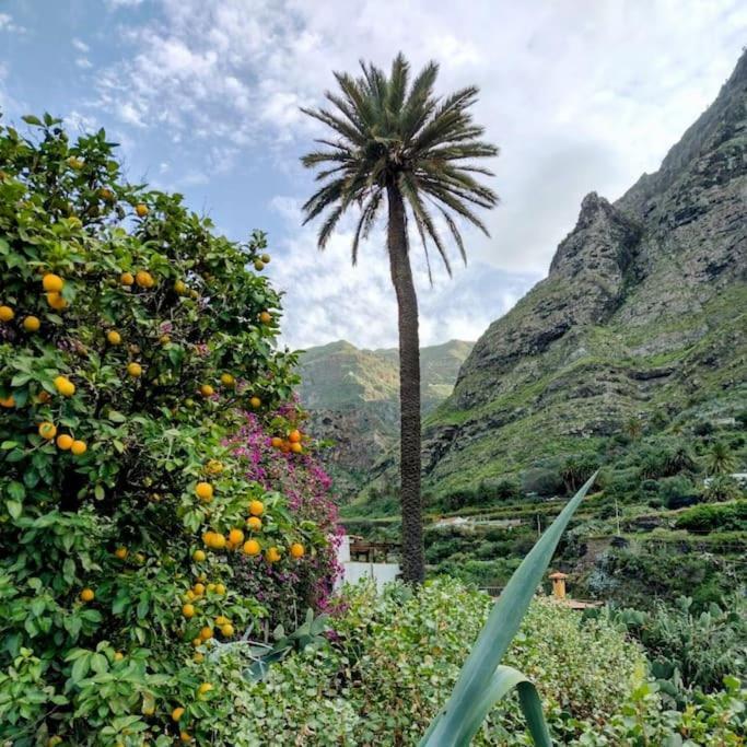 Villa Tamadaba Agaete  Bagian luar foto